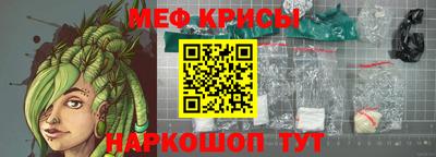 крисы Моздок