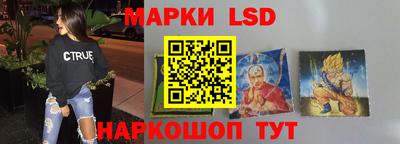 крисы Моздок