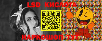 крисы Моздок