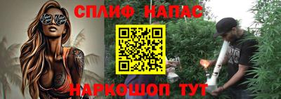 крисы Моздок