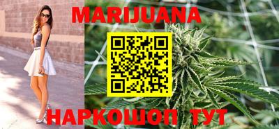 крисы Моздок