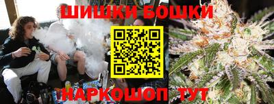 крисы Моздок