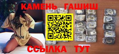 крисы Моздок